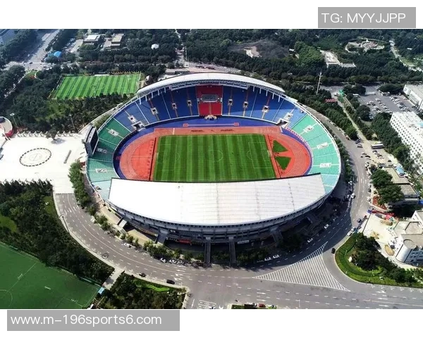 中国专用足球场建设现状与未来发展趋势分析及其对足球运动的影响